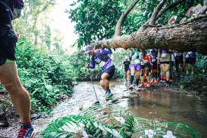 BIB: 
                            <button type="button" onclick="openModal(25467908)" class="btn btn-primary btn-sm float-right btn-popup" data-toggle="modal" data-target=".modal-high-quality">
                        <i class="fas fa-shopping-cart"></i> Add to Cart
                    </button>
                                            <button type="button" onclick="isThisMe(25467908, true)" class="btn btn-success btn-sm float-right btn-popup btn-isme hidden" data-toggle="tooltip" data-placement="bottom" title="นี่คือรูปของคุณใช่ไหม คลิกที่นี่เพื่อเอาเข้าอัลบั้ม">
                        <i class="fas fa-plus"></i> Add to album
                    </button>
                    <button type="button" onclick="isThisMe(25467908, false)" class="btn btn-warning btn-sm float-right btn-popup btn-isnotme hidden">
                        <i class="fas fa-ban"></i> Remove from album
                    </button>